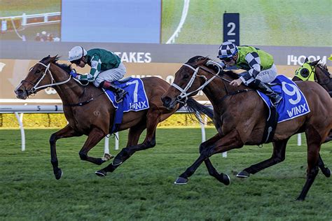 Winx Stakes .